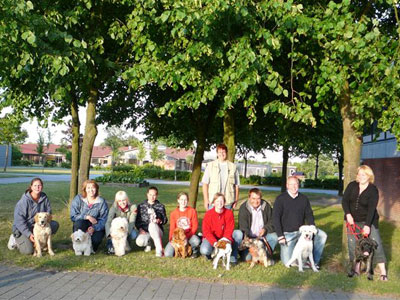 Bichon Havanais hos Kennel Miki Nanoq