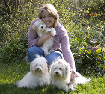 Bichon Havanais stueopdræt hos Kennel Miki Nanoq