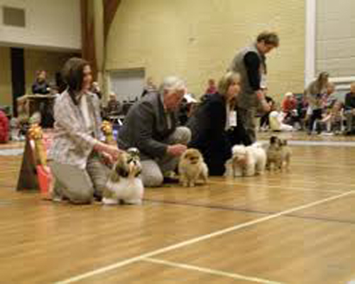 Udstilling Gørlev 2009