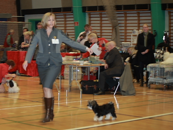 Miki Nanoq Laika på Udstilling i Middelfart 2011