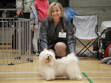 Miki Nanoq Octavius/Miki på Udstilling i Middelfart 2011